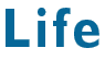 Life Switch: de organisatie om voor jezelf te werken vanuit huis